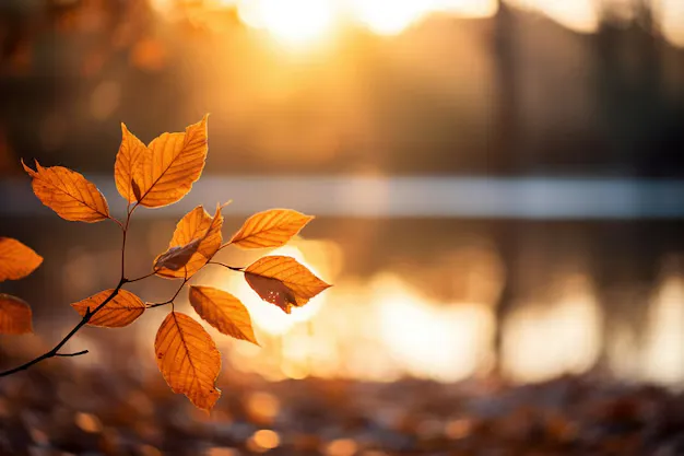 Дощі, грози та прохолодні ночі: прогноз погоди на вихідні 6-7 вересня в Україні