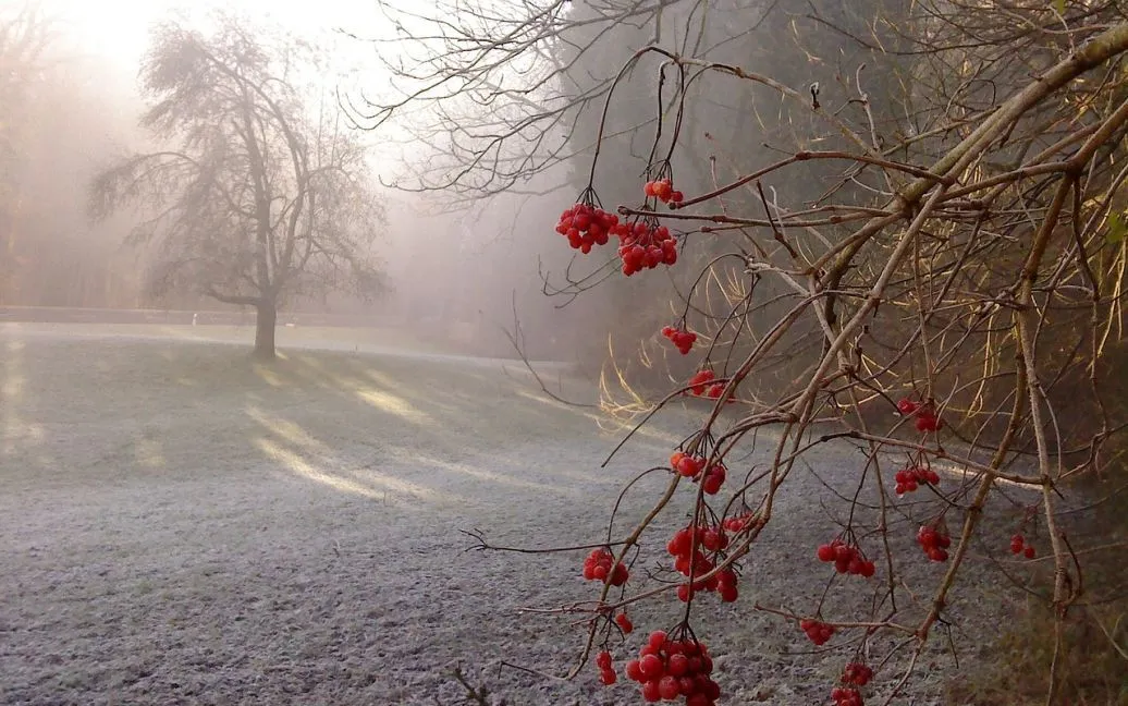 Хмарний та мінливий тиждень в Україні: детальний прогноз погоди з опадами та коливаннями температури на найближчі дні