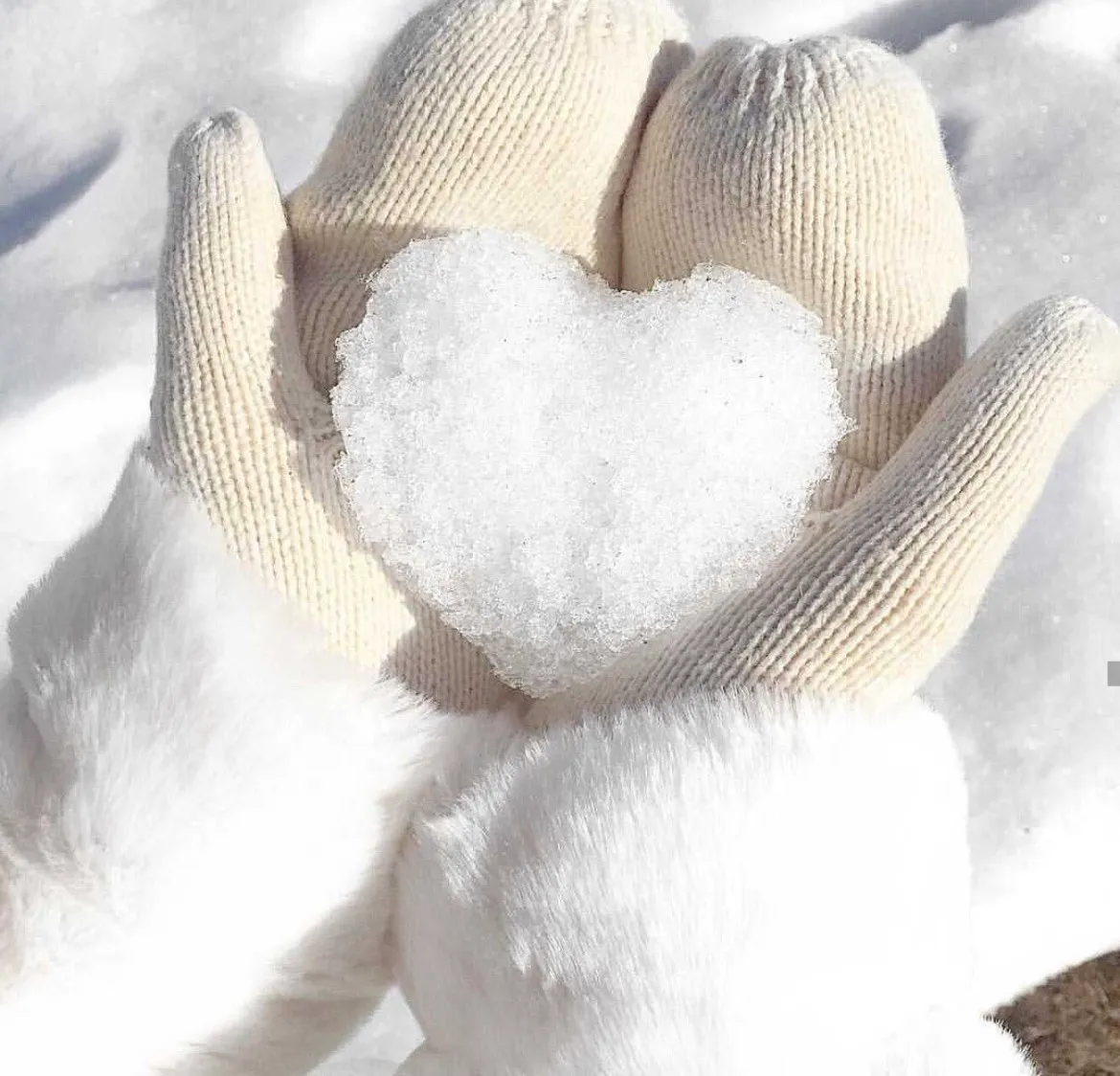 Які речі мають обов’язково бути в гардеробі кожної жінки взимку 2024/2025