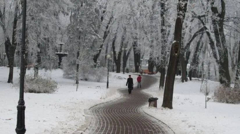 У Полтаві можуть виникнути серйозні проблеми з вивезенням сміття через блокування рахунків комунального підприємства
