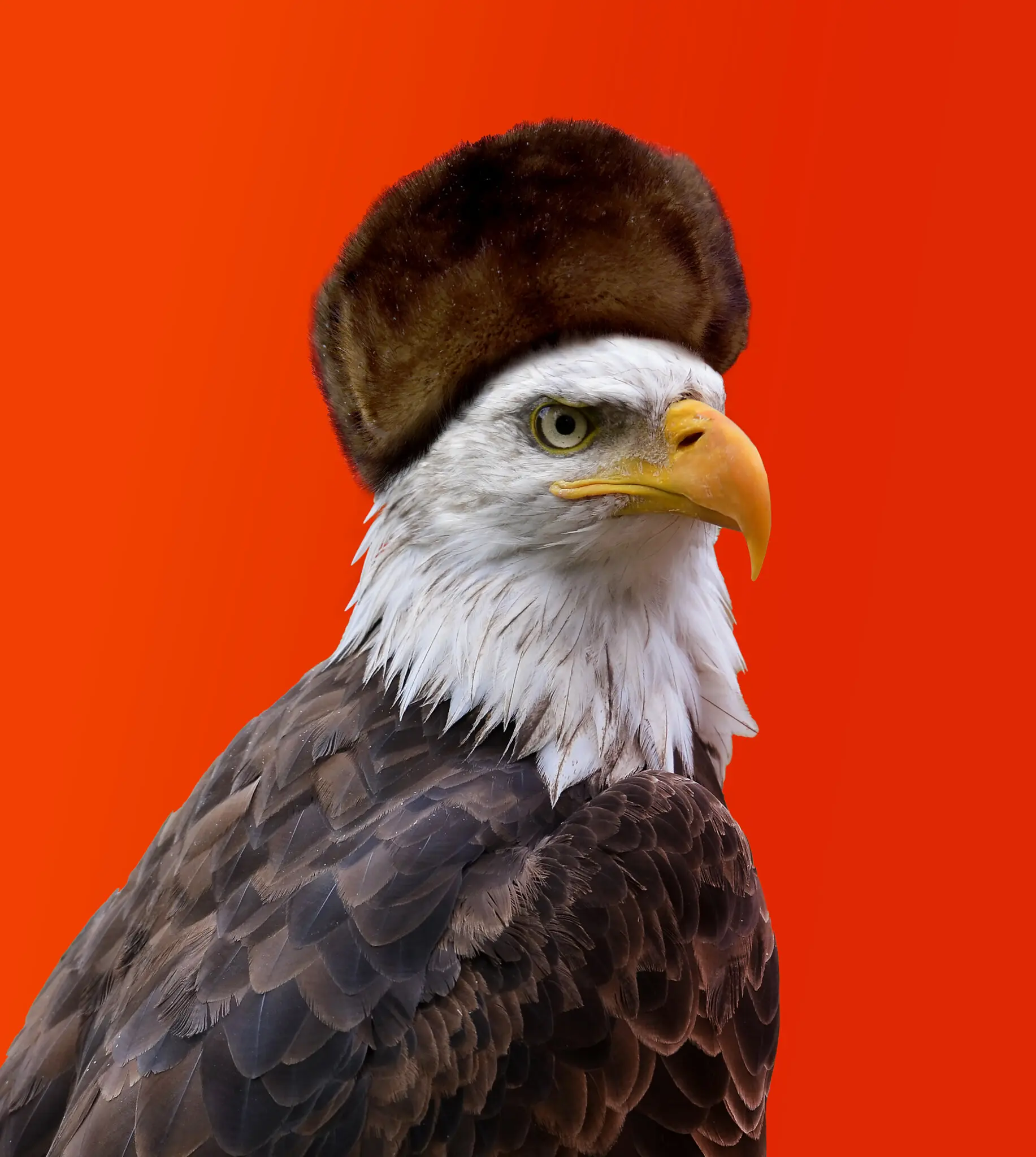 Фотоілюстрація