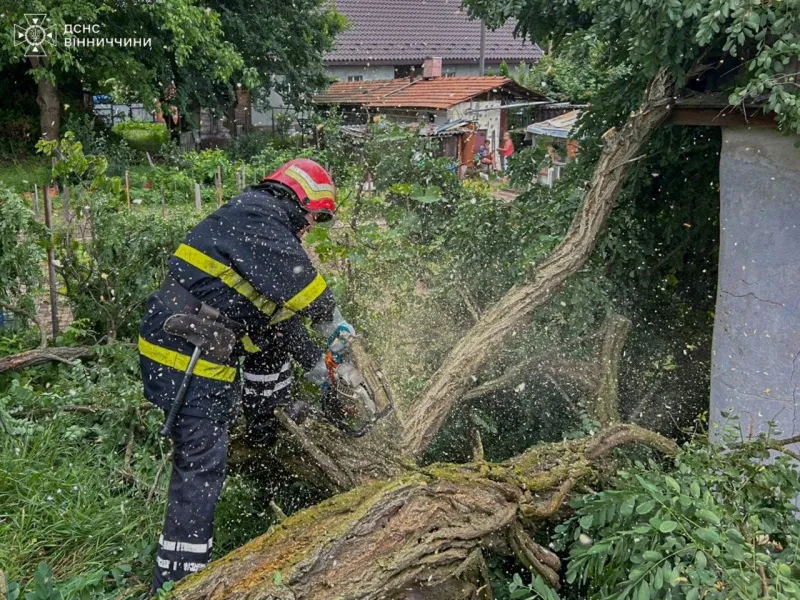 Стихія на заході та півночі України: повалені дерева, підтоплені будинки й нові попередження про негоду