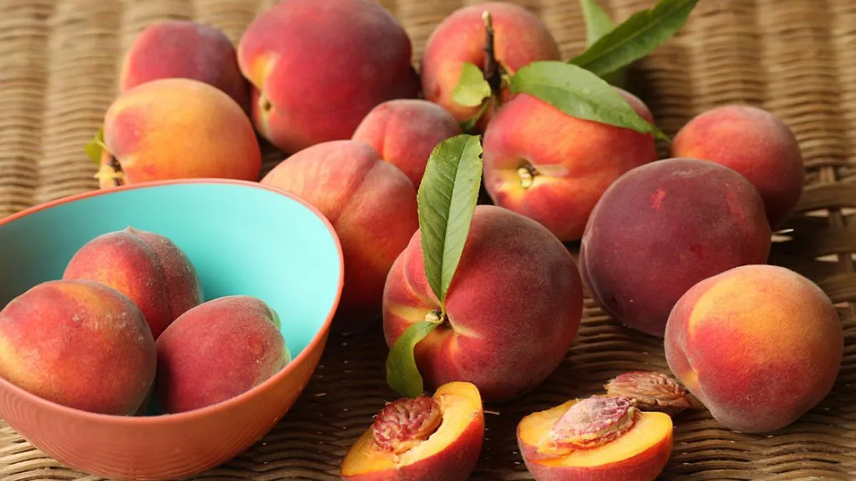 Весняні морози знищили урожай персиків: чому українські сади втрачають майбутнє та як змінити цю трагічну динаміку