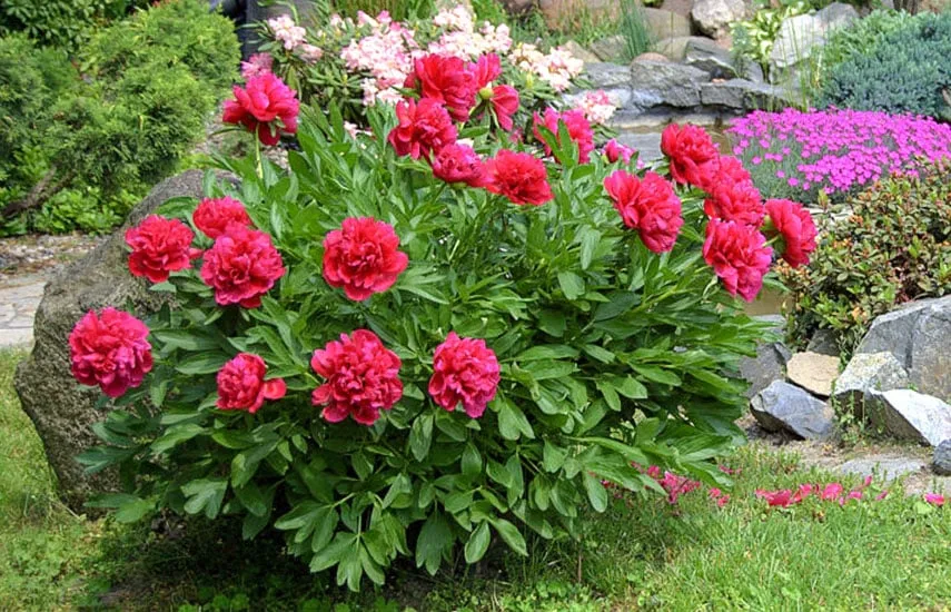 Тепло повертається: як атмосферні фронти змінюють обличчя української осені й дарують коротке бабине літо з температурою до +20 градусів