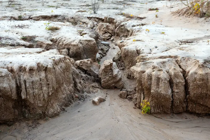 Трагедія у Кенії: руйнівний зсув ґрунту забрав життя понад двох десятків людей і оголив беззахисність регіону перед стихією