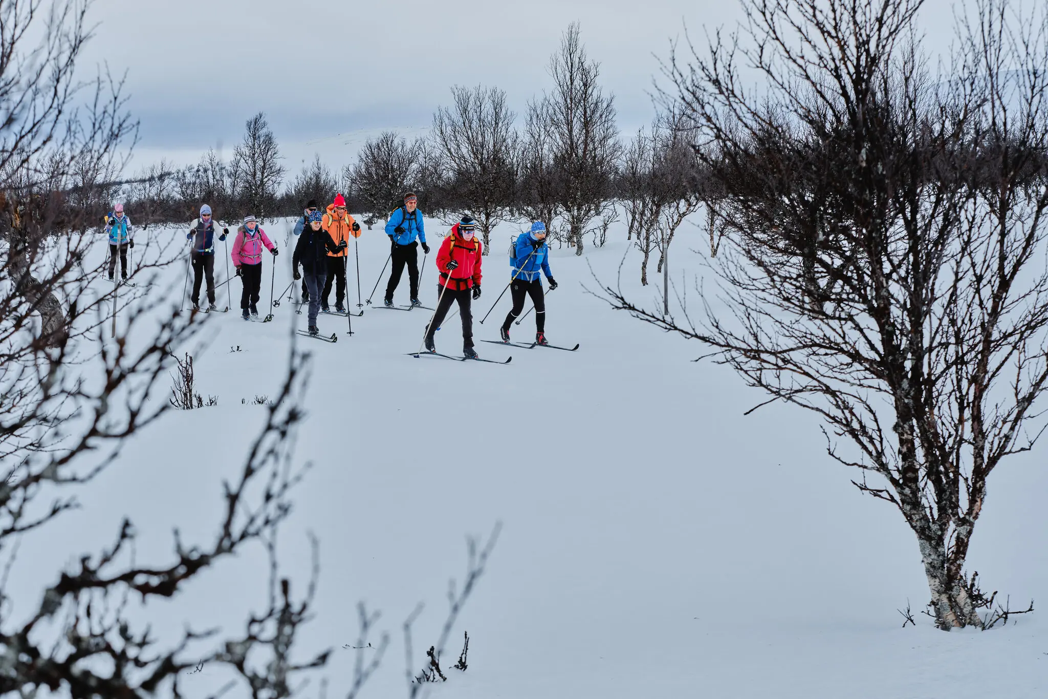 Трольова стежка Норвегії: 161 км (100 миль) лижами через Рондане до Ліллехаммера