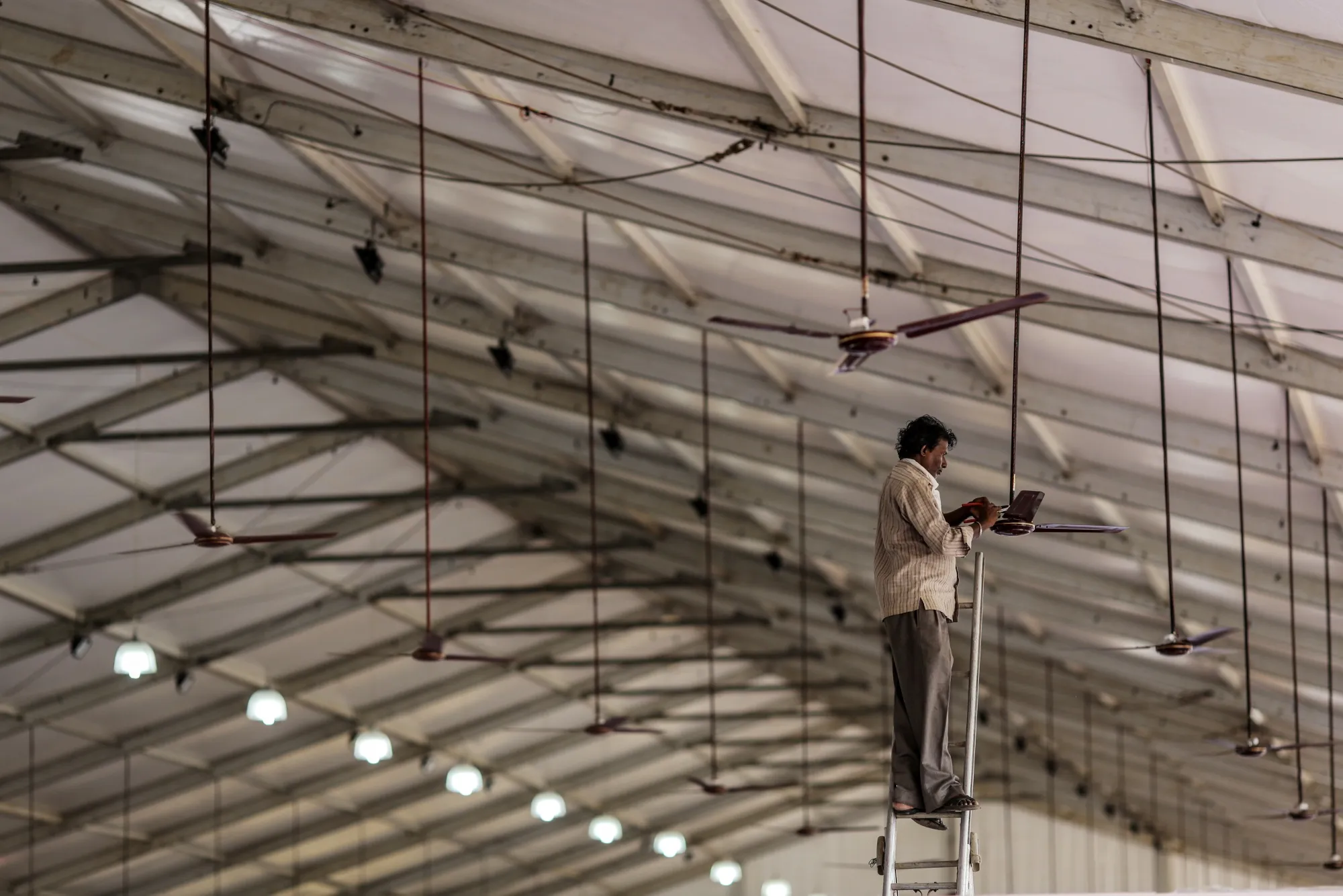 Кращі методи адаптації до клімату: прості рішення, що дають найбільший ефект