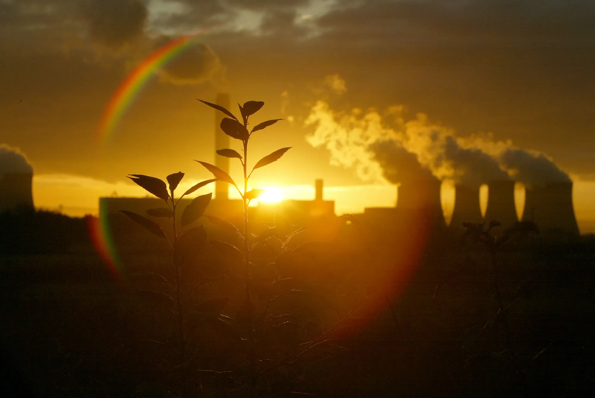 Викиди все ще ростуть, але це не провал: як Паризька угода змінила траєкторію клімату