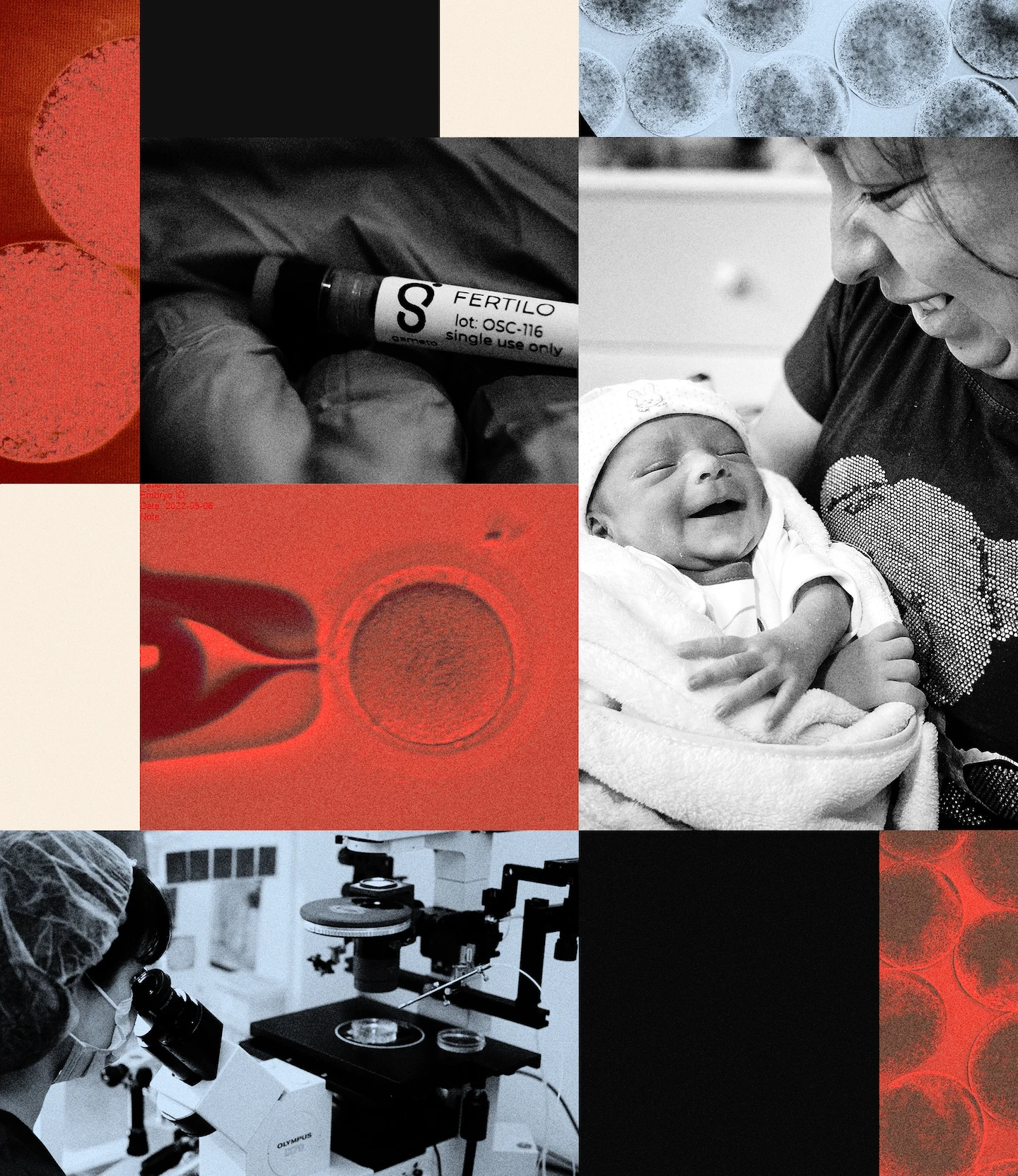 Як старіння яєчників може змінити медицину: прорив у лікуванні жіночого здоров’я