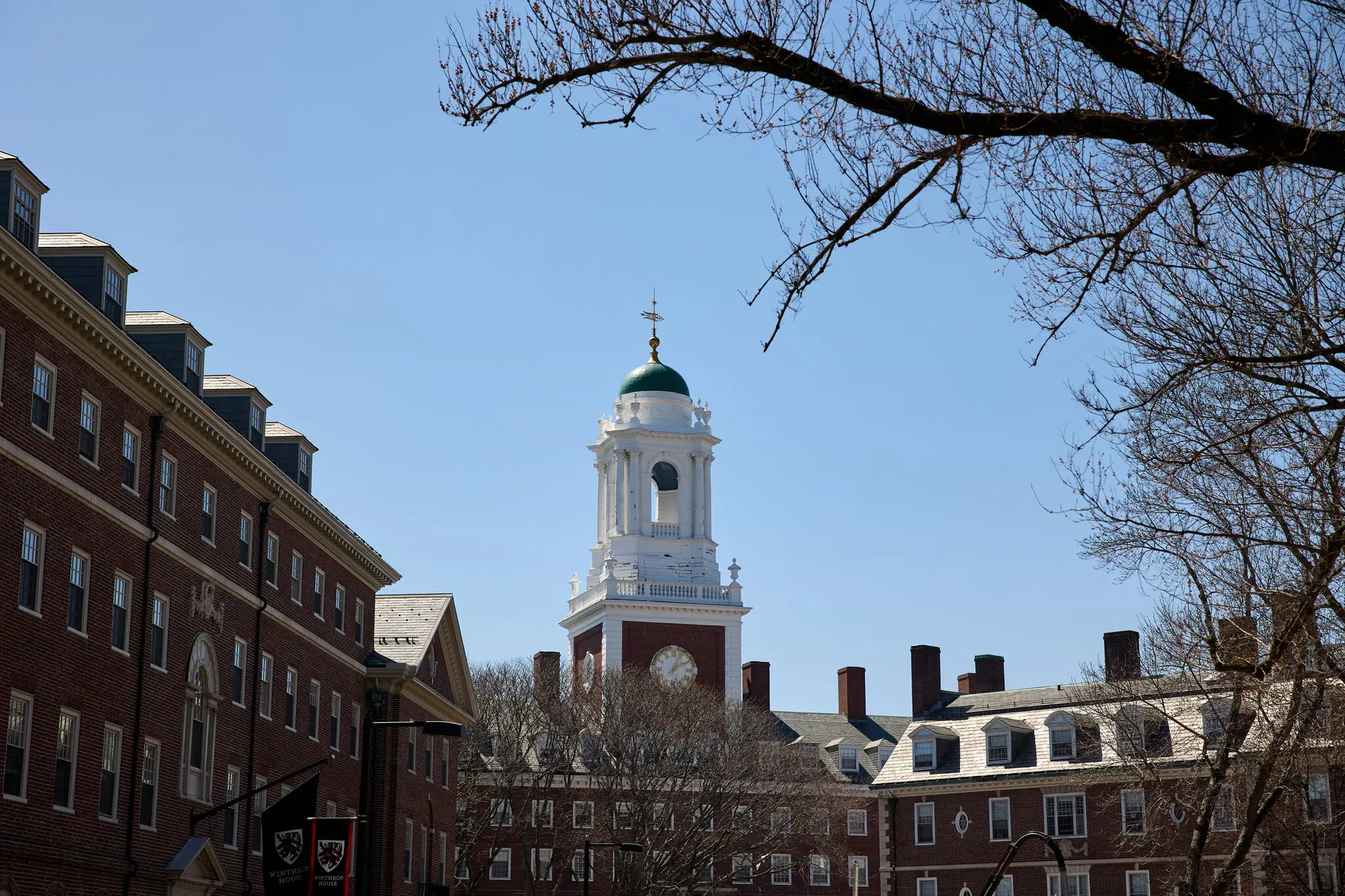 Розслідування й «шакедауни»: як Трамп переформатовує вищу освіту США