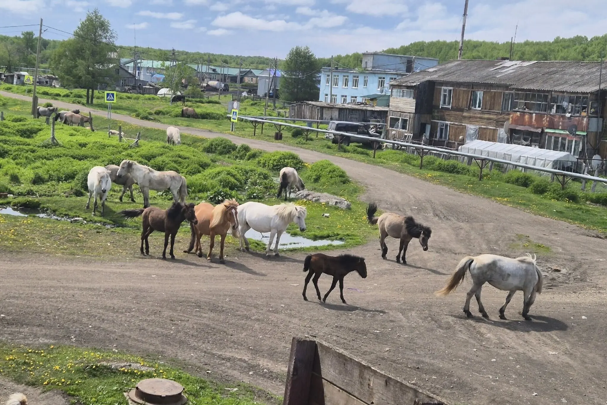 «Село військової доблесті» без каналізації: як Кремль монетизує пам’ять