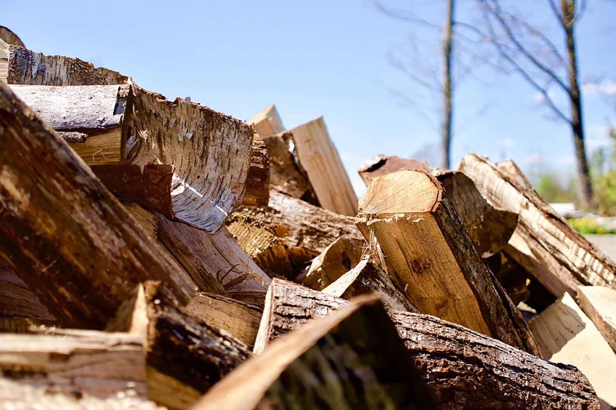 Як повалене дерево на подвір’ї перетворити на користь для саду та господарства: практичні поради