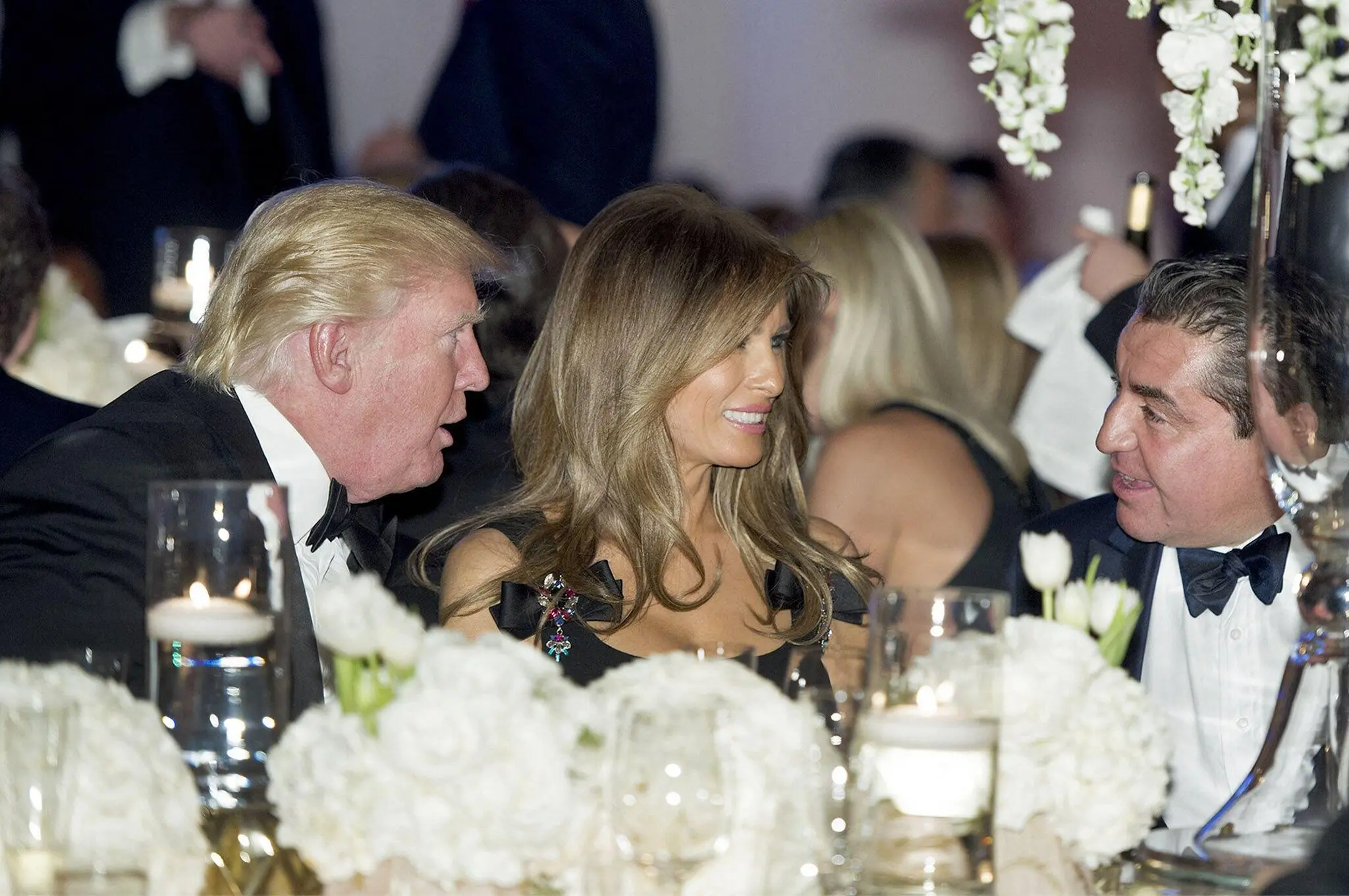 Сполучені Штати