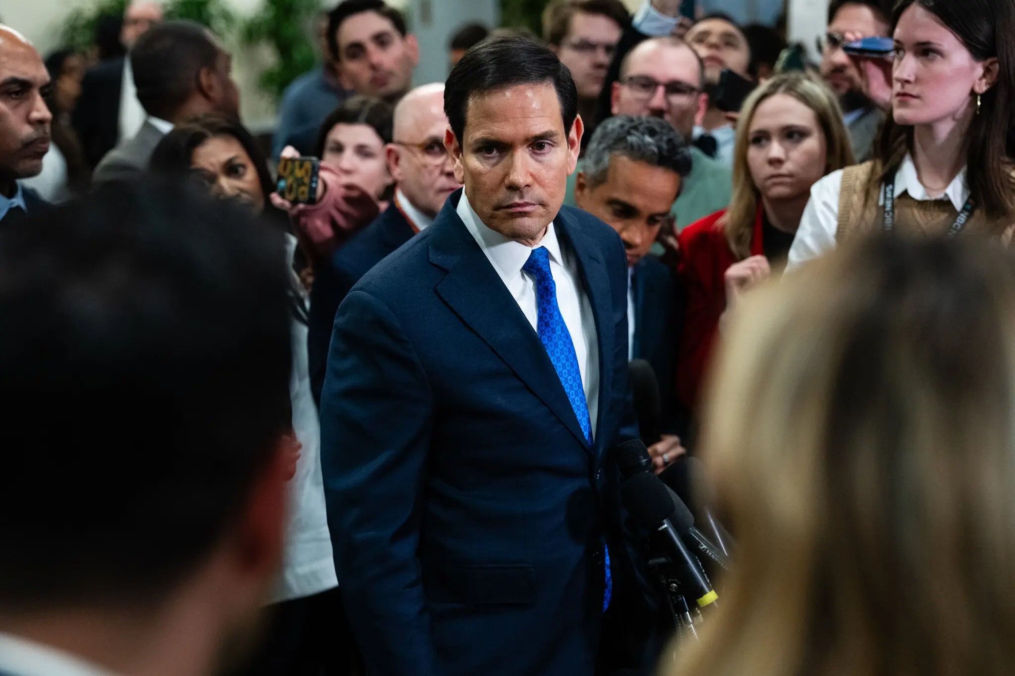 Сполучені Штати