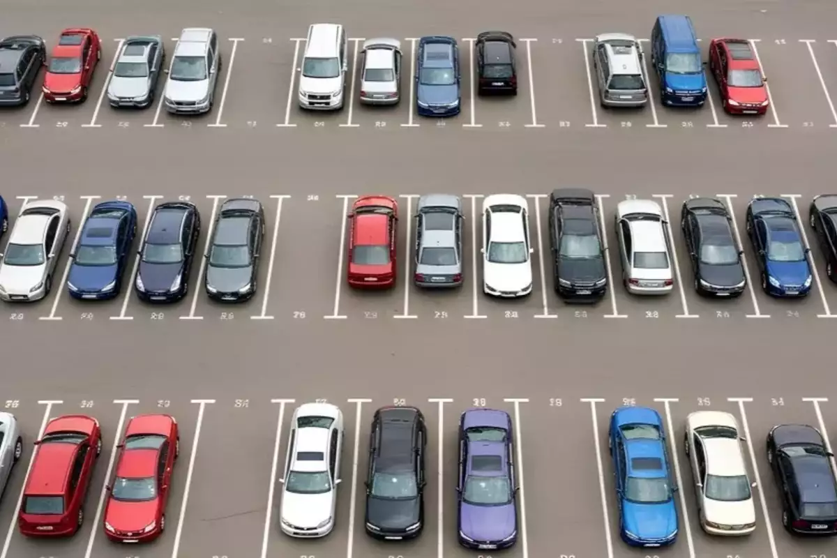 Суспільство