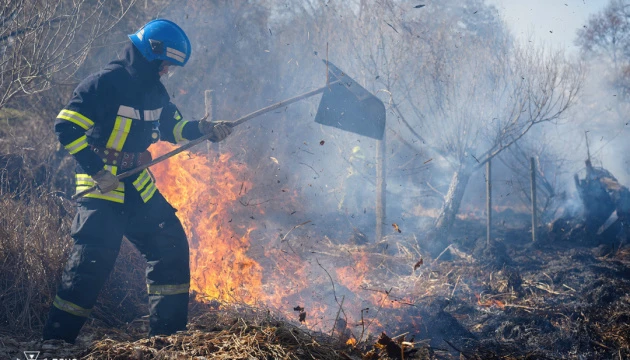 Весняні пожежі на Закарпатті: рятувальники та поліція посилюють рейди проти паліїв сухостою і використовують дрони для виявлення підпалів