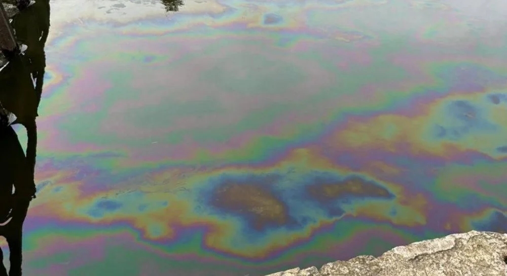 Молдова просить допомоги ЄС через забруднення Дністра після ракетної атаки: екологічна загроза для регіону