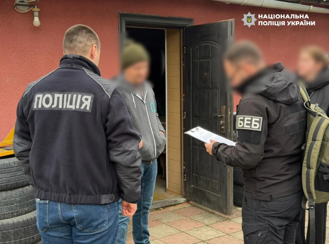 Тютюнова тінь Закарпаття: як вирощування перетворюється на нелегальну індустрію