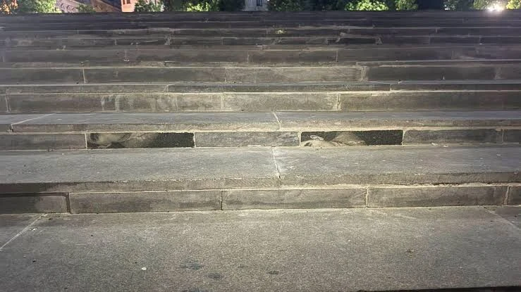 Суспільство