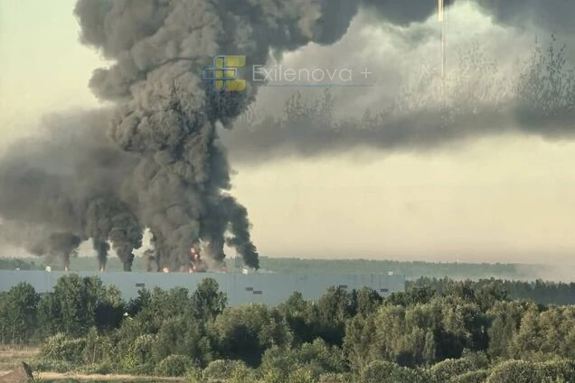 Суспільство